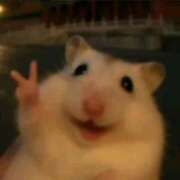 ヒメ日記 2026/04/02 02:28 投稿 あお【SS級の反則ビジュ】 STELLA TOKYO－ステラトウキョウ－