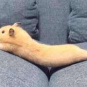 ヒメ日記 2026/04/02 21:48 投稿 あお【SS級の反則ビジュ】 STELLA TOKYO－ステラトウキョウ－