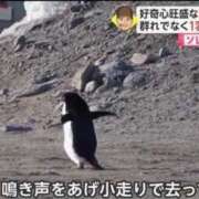 ヒメ日記 2026/04/08 16:16 投稿 あお【SS級の反則ビジュ】 STELLA TOKYO－ステラトウキョウ－