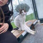 ヒメ日記 2026/04/27 15:26 投稿 あお【SS級の反則ビジュ】 STELLA TOKYO－ステラトウキョウ－