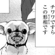 ヒメ日記 2026/05/26 22:10 投稿 あお【SS級の反則ビジュ】 STELLA TOKYO－ステラトウキョウ－