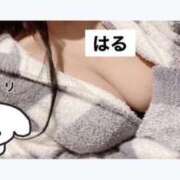 はる らぶれたー📩 リアル 日本橋店