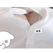 ヒメ日記 2026/02/16 14:29 投稿 はる リアル 日本橋店