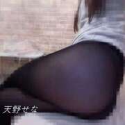 天野せな 本日❣️ コウテイ