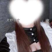 ヒメ日記 2026/01/27 14:05 投稿 天野せな コウテイ