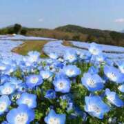 ヒメ日記 2026/06/22 19:08 投稿 りあな 君とふわふわプリンセスin立川