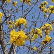 ヒメ日記 2026/03/28 00:36 投稿 さな☆スレンダー系 AQUA（辻）