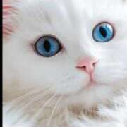 ヒメ日記 2026/04/14 23:36 投稿 さな☆スレンダー系 AQUA（辻）