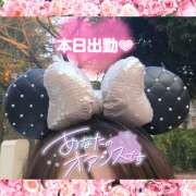 ヒメ日記 2026/02/01 11:01 投稿 ことは メンエス案内所