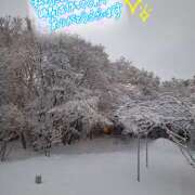 ヒメ日記 2026/02/08 17:43 投稿 ことは メンエス案内所