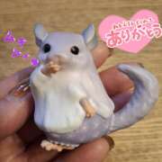 ヒメ日記 2026/02/28 22:11 投稿 ことは メンエス案内所