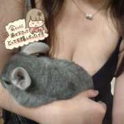 ヒメ日記 2026/03/08 06:23 投稿 ことは メンエス案内所