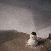 ヒメ日記 2026/01/30 17:53 投稿 さく IRIS一宮