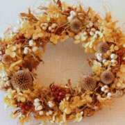 ヒメ日記 2025/12/20 23:40 投稿 千沙都 OL物語