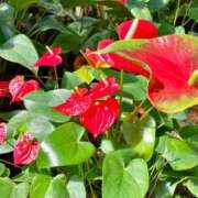 ヒメ日記 2025/12/23 03:48 投稿 千沙都 OL物語