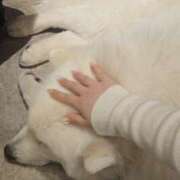 ヒメ日記 2026/04/02 22:03 投稿 らら Beauty Street