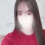 ☆はるか☆ 24日debutのお知らせ ◆プラウディア◆AAA級素人娘在籍店