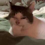 ヒメ日記 2025/12/28 18:24 投稿 のん ラブライフ所沢川越