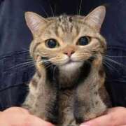 のん 遅 ラブライフ大宮岩槻店