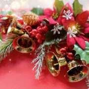 ヒメ日記 2025/12/23 04:00 投稿 恵利那 OL物語