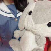 ヒメ日記 2025/12/26 19:39 投稿 れいちる 子猫カフェ 小倉店