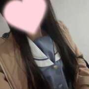 ヒメ日記 2026/01/11 19:49 投稿 れいちる 子猫カフェ 小倉店