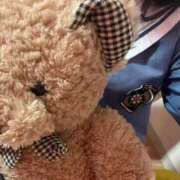 ヒメ日記 2026/01/12 02:00 投稿 れいちる 子猫カフェ 小倉店