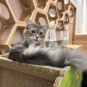 ヒメ日記 2026/01/03 10:15 投稿 あゆな すごいエステ 名古屋店