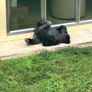 ヒメ日記 2026/02/19 09:55 投稿 あゆな すごいエステ 名古屋店