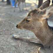 ヒメ日記 2026/03/01 08:05 投稿 あゆな すごいエステ 名古屋店