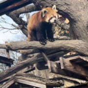 ヒメ日記 2026/02/18 13:30 投稿 まろん Happy Gang(ハッピーギャング)