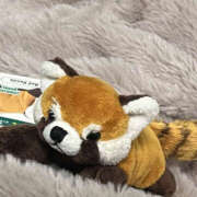 ヒメ日記 2026/03/08 11:11 投稿 まろん Happy Gang(ハッピーギャング)