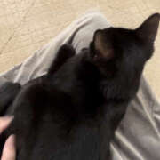 ヒメ日記 2026/03/29 10:25 投稿 まろん Happy Gang(ハッピーギャング)