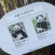 ヒメ日記 2026/04/14 11:18 投稿 まろん Happy Gang(ハッピーギャング)