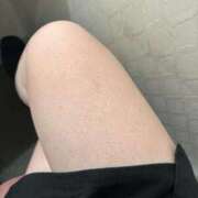 タルト ねむい🥱 ピンクコレクション大阪