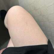 タルト ねむい🥱 ピンクコレクション大阪キタ店