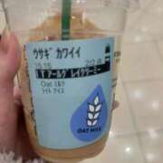 ヒメ日記 2026/03/10 21:31 投稿 るな 水戸女学院PTA