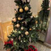 ヒメ日記 2025/12/25 18:20 投稿 なぎさ 熟女総本店 堺東店