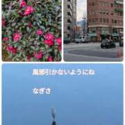 ヒメ日記 2026/01/10 15:17 投稿 なぎさ 熟女総本店 堺東店