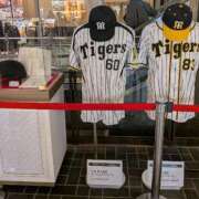 ヒメ日記 2026/01/18 13:22 投稿 なぎさ 熟女総本店 堺東店