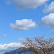 ヒメ日記 2026/01/22 10:27 投稿 なぎさ 熟女総本店 堺東店