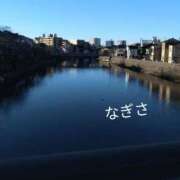 ヒメ日記 2026/02/12 10:22 投稿 なぎさ 熟女総本店 堺東店