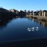 ヒメ日記 2026/02/12 18:18 投稿 なぎさ 熟女総本店 堺東店