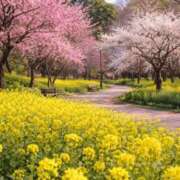 ヒメ日記 2026/02/17 16:13 投稿 なぎさ 熟女総本店 堺東店