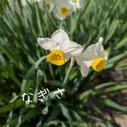 ヒメ日記 2026/02/25 19:34 投稿 なぎさ 熟女総本店 堺東店