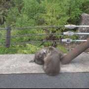 ヒメ日記 2026/03/01 22:24 投稿 なぎさ 熟女総本店 堺東店