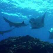 ヒメ日記 2026/03/06 15:32 投稿 なぎさ 熟女総本店 堺東店