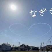 ヒメ日記 2026/04/04 09:38 投稿 なぎさ 熟女総本店 堺東店