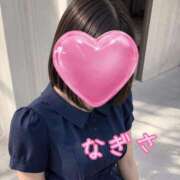 ヒメ日記 2026/05/12 06:20 投稿 なぎさ 熟女総本店 堺東店
