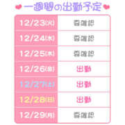 ヒメ日記 2025/12/24 17:46 投稿 りり ハピネス東京 吉原店